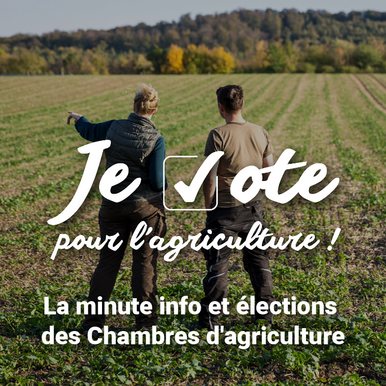 Pochette de F. HITS - Je vote pour l'agriculture